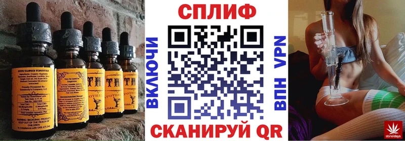 где можно купить наркотик  Кингисепп  ссылка на мегу рабочий сайт  Cannafood марихуана 