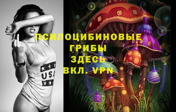 сатива Иннополис