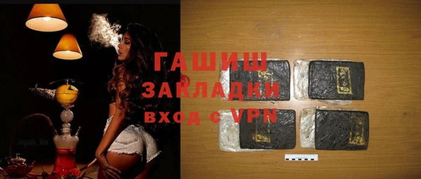 гидра Инта