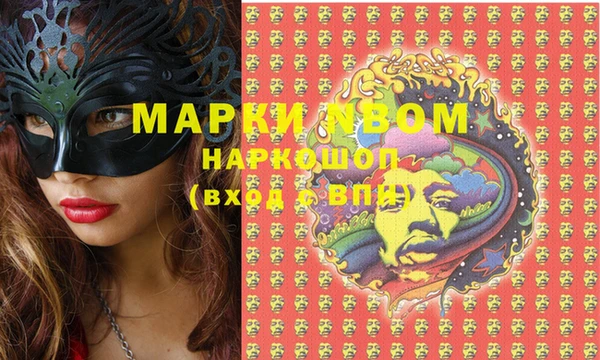 молекула духа Инсар