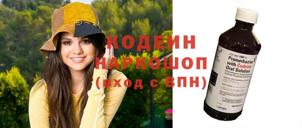 сатива Иннополис