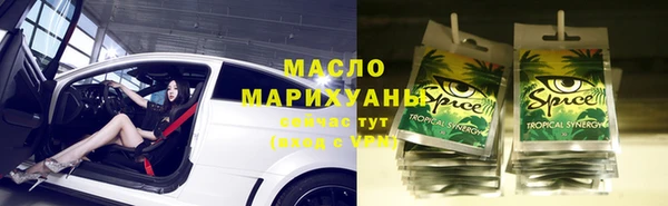 гидра Инта