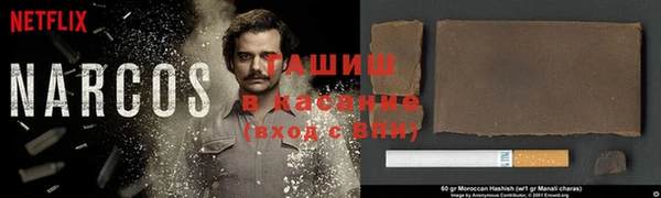 сатива Иннополис