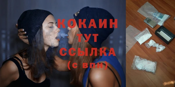 гидра Инта