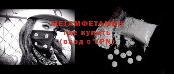 гидра Инта
