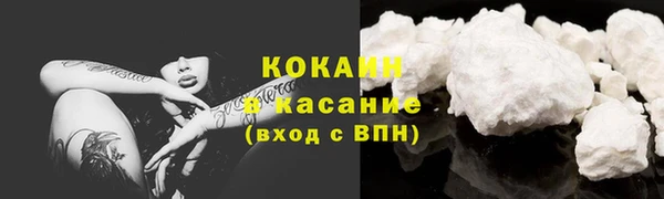 молекула духа Инсар
