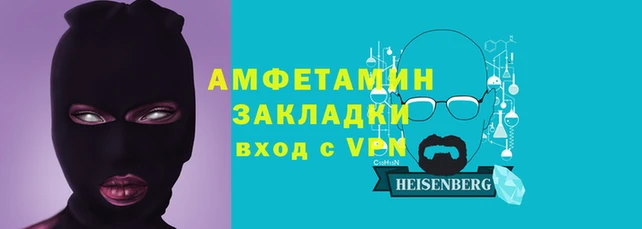 гидра Инта