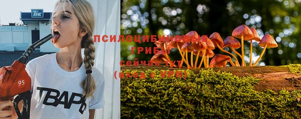 молекула духа Инсар