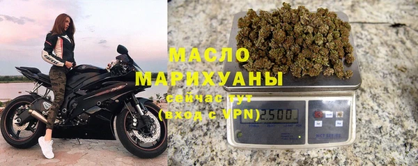 гидра Инта