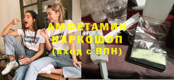 гидра Инта