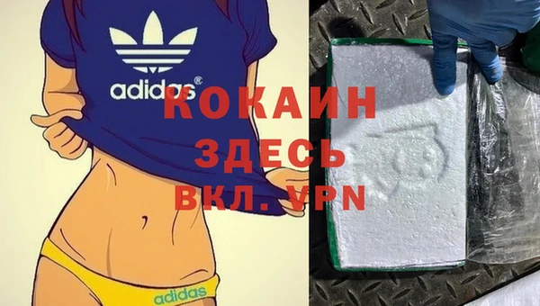 гидра Инта