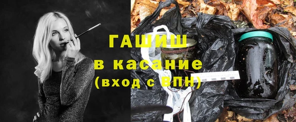 гидра Инта