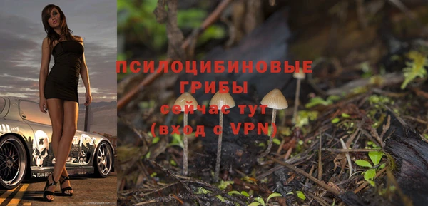 молекула духа Инсар