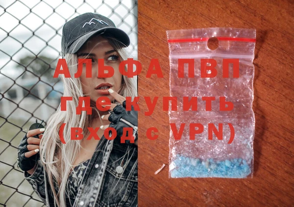 гидра Инта