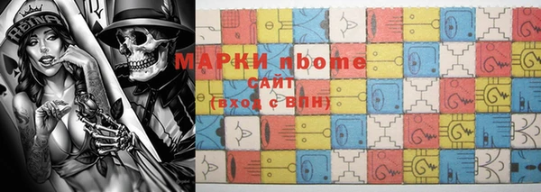 гидра Инта