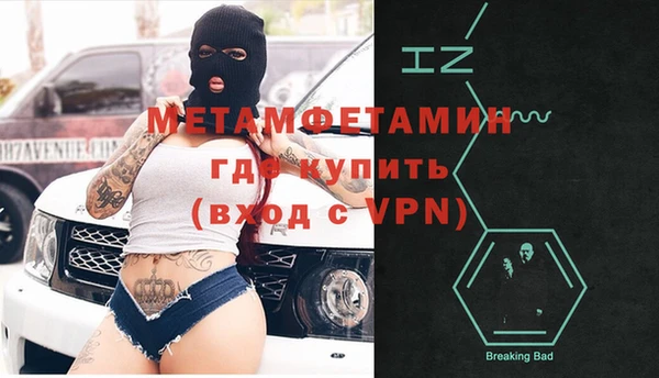 гидра Инта