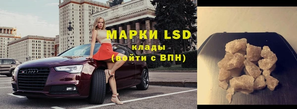 сатива Иннополис