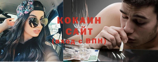 молекула духа Инсар