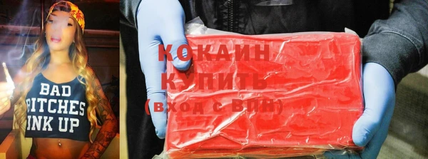гидра Инта