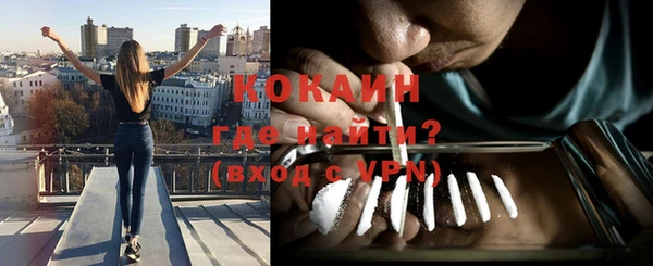 сатива Иннополис
