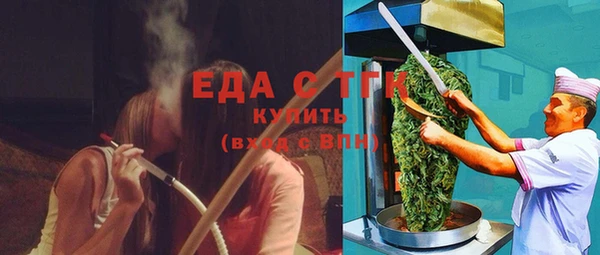 гидра Инта
