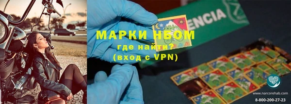 сатива Иннополис