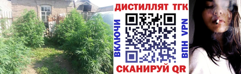 Дистиллят ТГК жижа  магазин  наркотиков  Кингисепп 