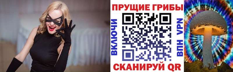 Галлюциногенные грибы мухоморы Кингисепп